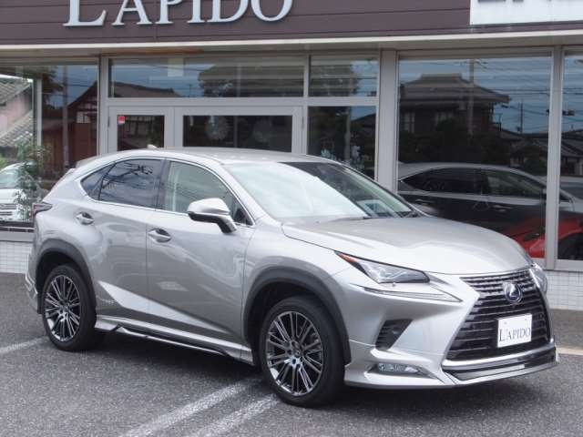 Import and buy LEXUS NX 2020 from Japan to Nairobi, Kenya