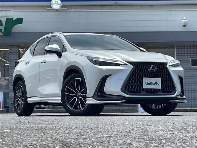 Import and buy LEXUS NX 2023 from Japan to Nairobi, Kenya