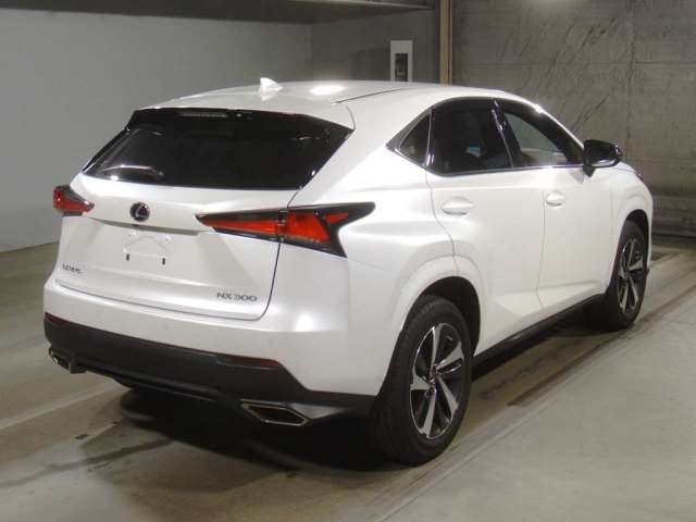 Import and buy LEXUS NX 2020 from Japan to Nairobi, Kenya