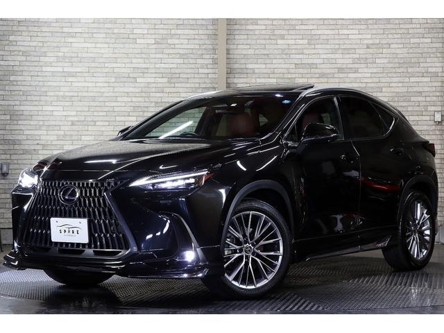 Import and buy LEXUS NX 2021 from Japan to Nairobi, Kenya