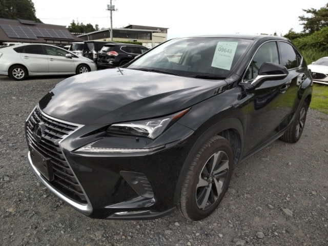 Import and buy LEXUS NX 2019 from Japan to Nairobi, Kenya